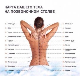 Здоровый позвоночник - это просто